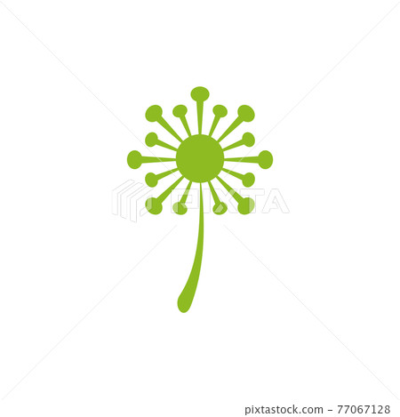Dandelion flower logo design template Dandelion flower logo design template 77067128