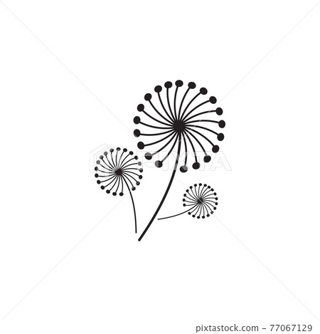 Dandelion flower logo design template 77067129