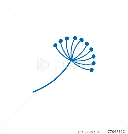 Dandelion flower logo design template Dandelion flower logo design template 77067132