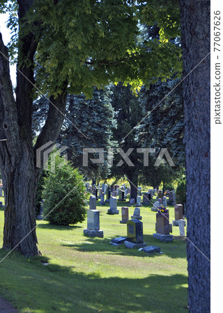 Cemetery During Summer Cemetery During Summer 77067626
