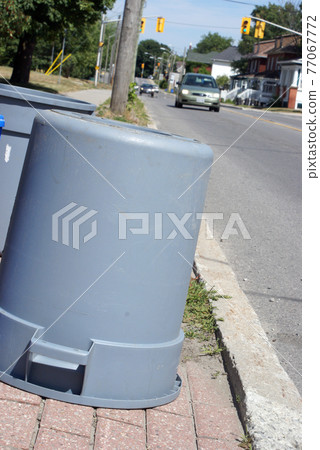 Weekly Garbage Run 77067772