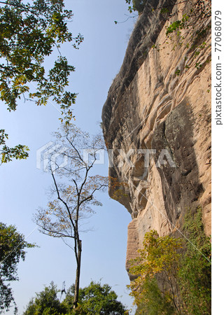 Wuyishan mountains in Fujian Province, China. View on the path to DaWang (Great King) Peak. The mountain has steep cliffs. Trees in foreground. Wuyishan is a UNESCO World Heritage site in China. 77068079