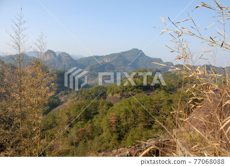 Wuyishan mountains in Fujian Province, China. Scenic view over the peaks of Wuyi mountains. A classic view of the hills from Roaring Tiger Rock. Wuyishan is a UNESCO World Heritage site in China. 77068088