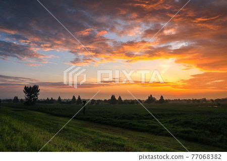 Watarase Setoji 77068382