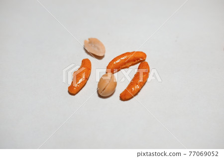 柿子豌豆 柿子豌豆 77069052