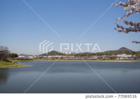 華朗湖 華朗湖 77069516
