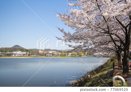 華朗湖 77069520