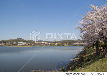 華朗湖 華朗湖 77069521