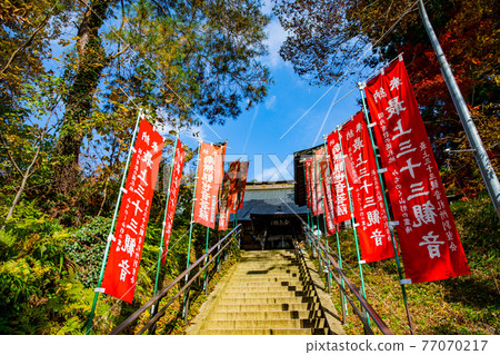 Autumn Wakamatsu Kannon 77070217