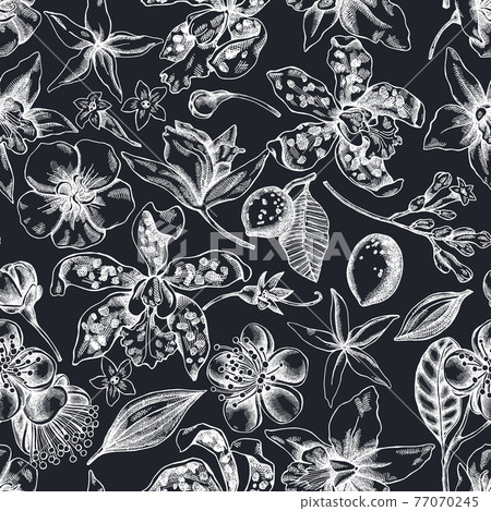 Seamless pattern with hand drawn chalk laelia,... - Stock Illustration ...