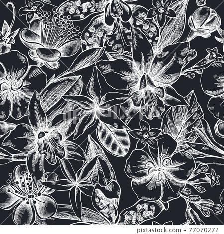 Seamless pattern with hand drawn chalk laelia, feijoa flowers, glory bush, papilio torquatus Seamless pattern with hand drawn chalk laelia, feijoa flowers, glory bush, papilio torquatus 77070272