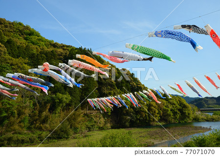 鯉魚旗在五月的天空中游弋 77071070