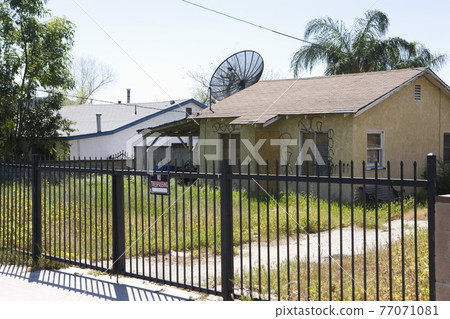 Abandoned House With Overgrown Yard 77071081