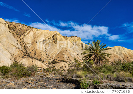 Tabernas desert, Desierto de Tabernas near Almeria, andalusia region, Spain 77071686