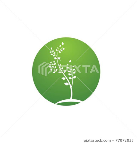 tree branch vector ilustration design tree branch vector ilustration design 77072035