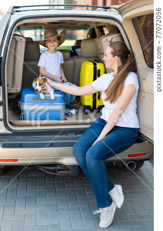 European woman with son and puppy Jack Russell travel by car. kid and his mother and a small dog are sitting in the trunk and heading out for summer vacation. Independent family trip with children. 77072056