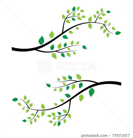 tree branch vector ilustration design 77072057