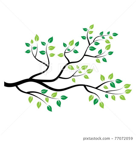 tree branch vector ilustration design tree branch vector ilustration design 77072059