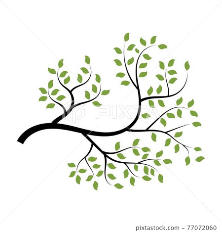 tree branch vector ilustration design 77072060