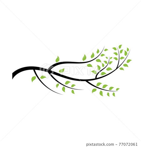 tree branch vector ilustration design 77072061