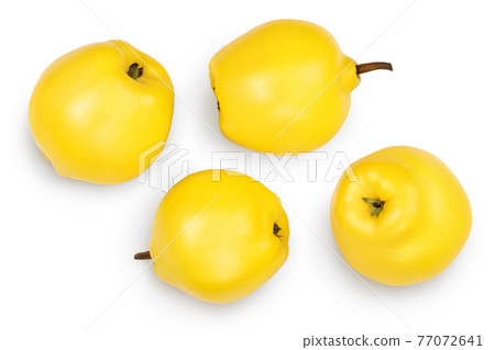 Fresh quince isolated on the white background with clipping path and full depth of field. Top view. Flat lay 77072641