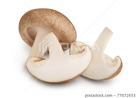 Fresh Shiitake mushroom isolated on white background with clipping path and full depth of field. Fresh Shiitake mushroom isolated on white background with clipping path and full depth of field. 77072655