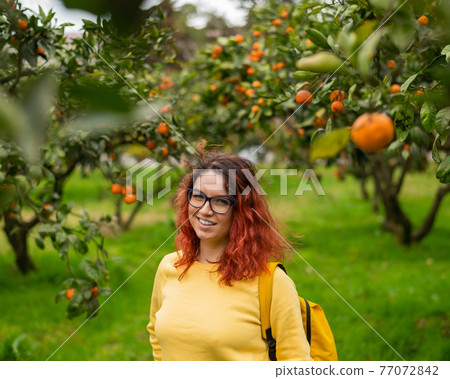 Red-haired smiling woman stands in the tangerine garden. 77072842