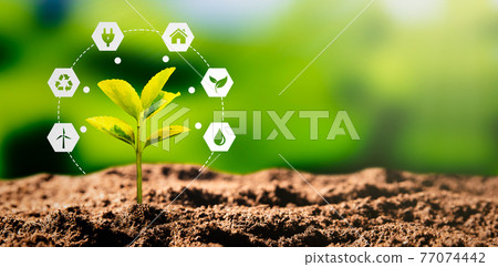 Sustainable energy sources concept 77074442