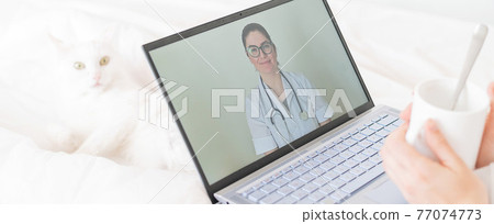 A faceless woman drinks an antipyretic and watches a video from a doctor recommendation. Online doctor consultation on a webcam without leaving your home. The cat lies in bed with a sick housewife. A faceless woman drinks an antipyretic and watches a video from a doctor recommendation. Online doctor consultation on a webcam without leaving your home. The cat lies in bed with a sick housewife. 77074773