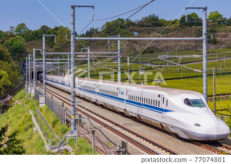 (Shizuoka Prefecture) Shinkansen up line running through the tea plantations in Makinohara 77074801