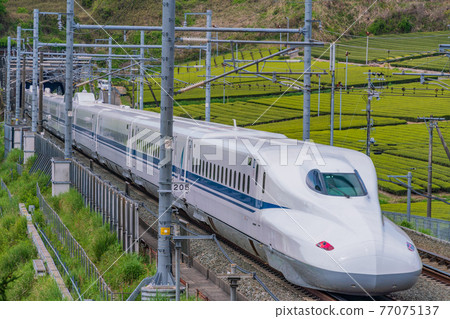 （靜岡縣）貫穿牧之原茶園的新幹線下線 77075137