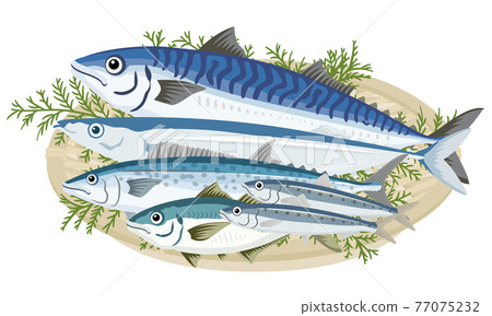 Assorted blue fish 77075232