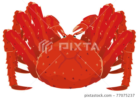 帝王蟹/帝王蟹 77075237