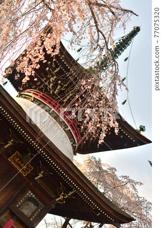 吉野山中仙本東南院 吉野山中仙本東南院 77075320