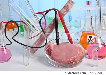 Lab Test or Artificial Grown Meat with Electrodes 77075508