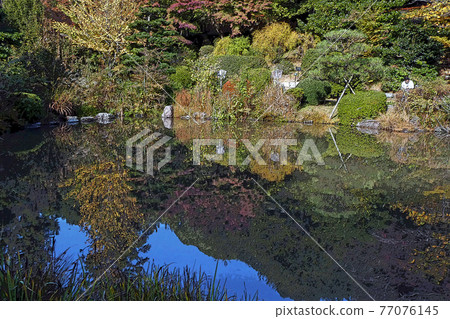 Higashiyama Zoo and Botanical Garden 77076145