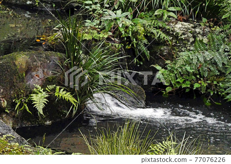 Higashiyama Zoo and Botanical Garden 77076226