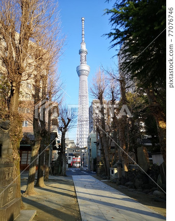 從水戶神社境內看到的東京晴空塔 從水戶神社境內看到的東京晴空塔 77076746