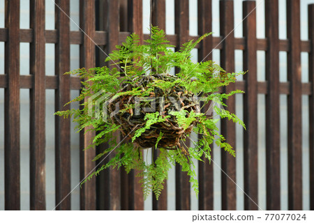 Narai-juku on Nakasendo / Kisoji Nakasendo Narai-juku in Kisoji 77077024