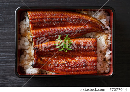 Ewe weight Ewe weight 77077044