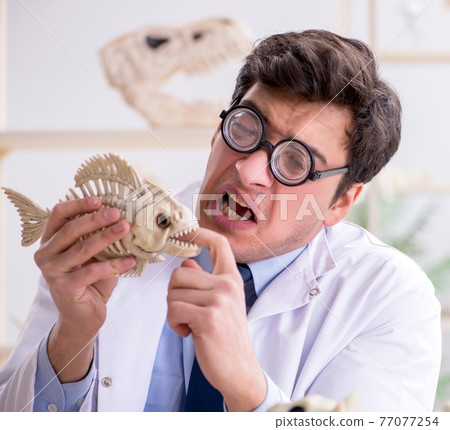 Funny crazy professor studying animal skeletons 77077254