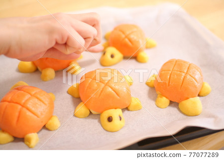 Making turtle bread Making bread that makes children happy at home time Turtle-shaped melon bread 77077289