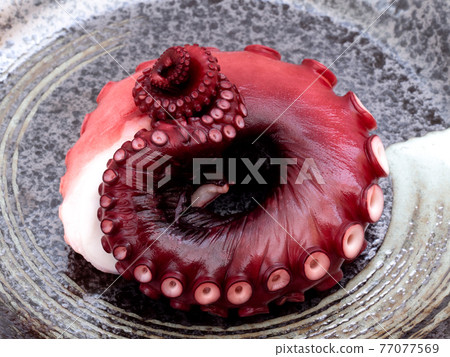 Steamed octopus for sashimi 77077569