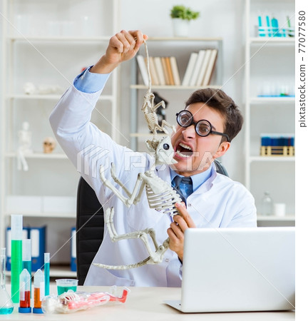 Funny scientist with cat skeleton in lab clinic 77077580