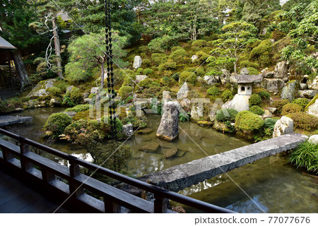Shiga-in Monk's Garden 77077676