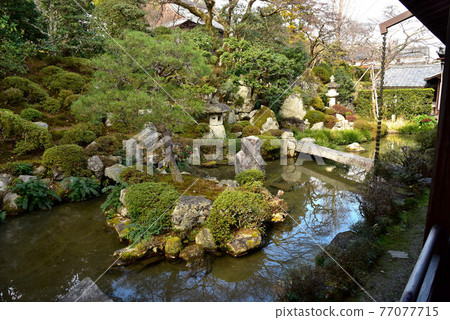 Shiga-in Monk's Garden 77077715