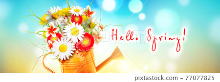 Colorful wild flower bouquet in a watering can. Concept of spring and gardening. 77077825