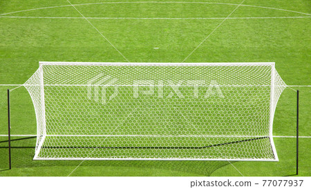 Soccer stadium arena with natural green grass 77077937