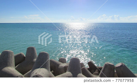 沖繩的海在四足動物之外閃耀 沖繩的海在四足動物之外閃耀 77077958