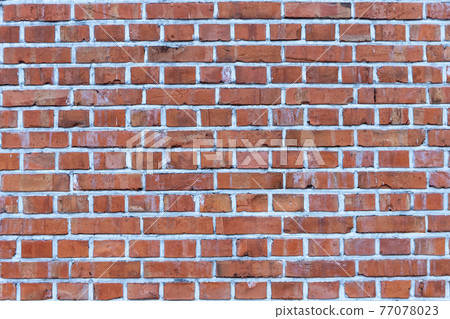 Red brick wall 77078023